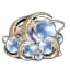 60 Lunites (Lunites)